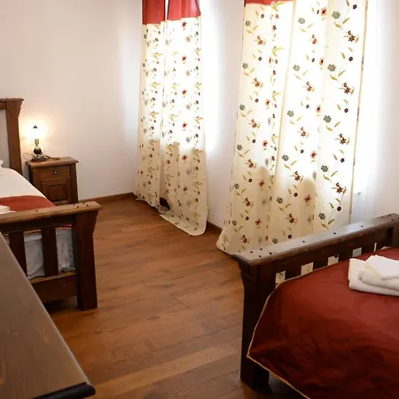 Guest house Carolina House Sighisoara