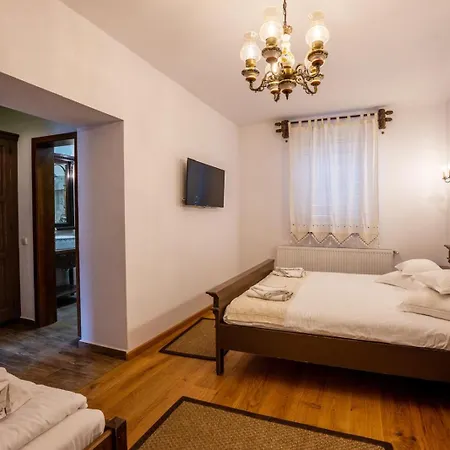 Guest house Carolina House Sighisoara